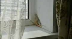 Plísní na plastová a dřevěná okna